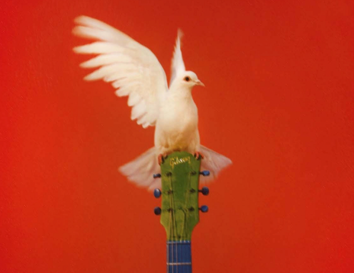 Peace 2018 album - "kindness is the new rock and roll" - cover image of a dove sat on top of a guitar on a red background.